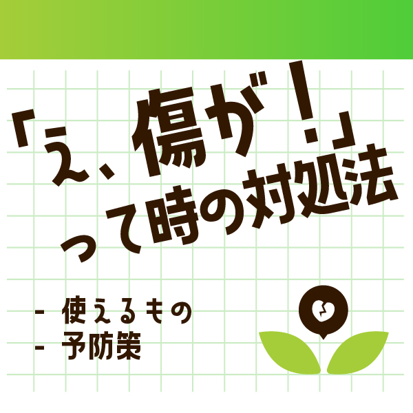 コレクションの傷は心の傷。作品に傷がついた時の対処法